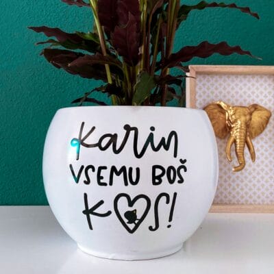 Lonček za rože - Vsemu boš kos