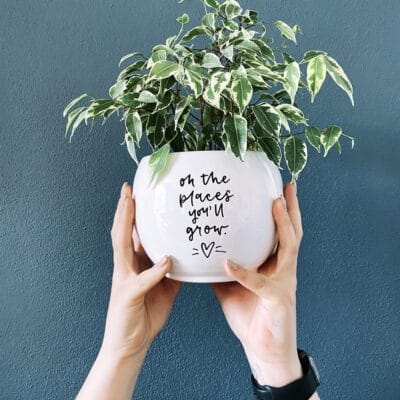 Lonček za rože - Oh the places you'll grow