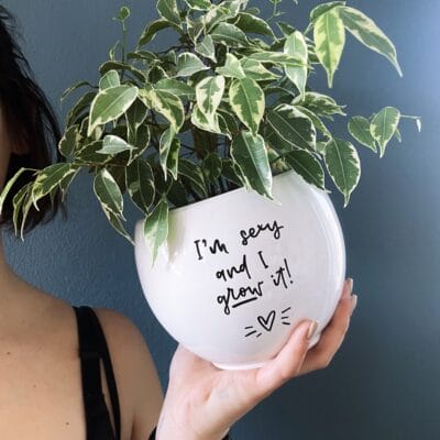 Lonček za rože - I grow it