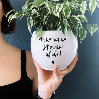 Lonček za rože - Stayin' alive