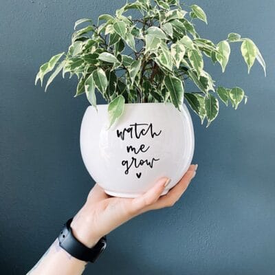 Lonček za rože - Watch me grow